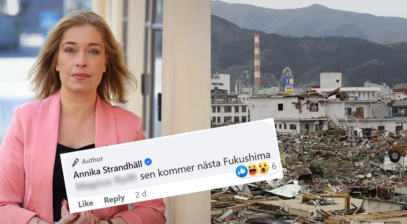 Annika Strandhäll om kärnkraft: "gamla vattenkokare med livsfarligt avfall"
