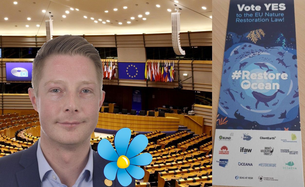 Skarp kritik från SD mot EU:s skogsplaner