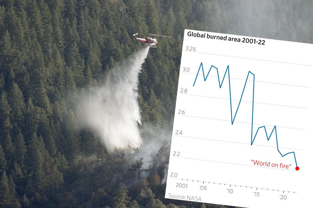 Trots “global kokning”: Skogsbränder fortsätter minska