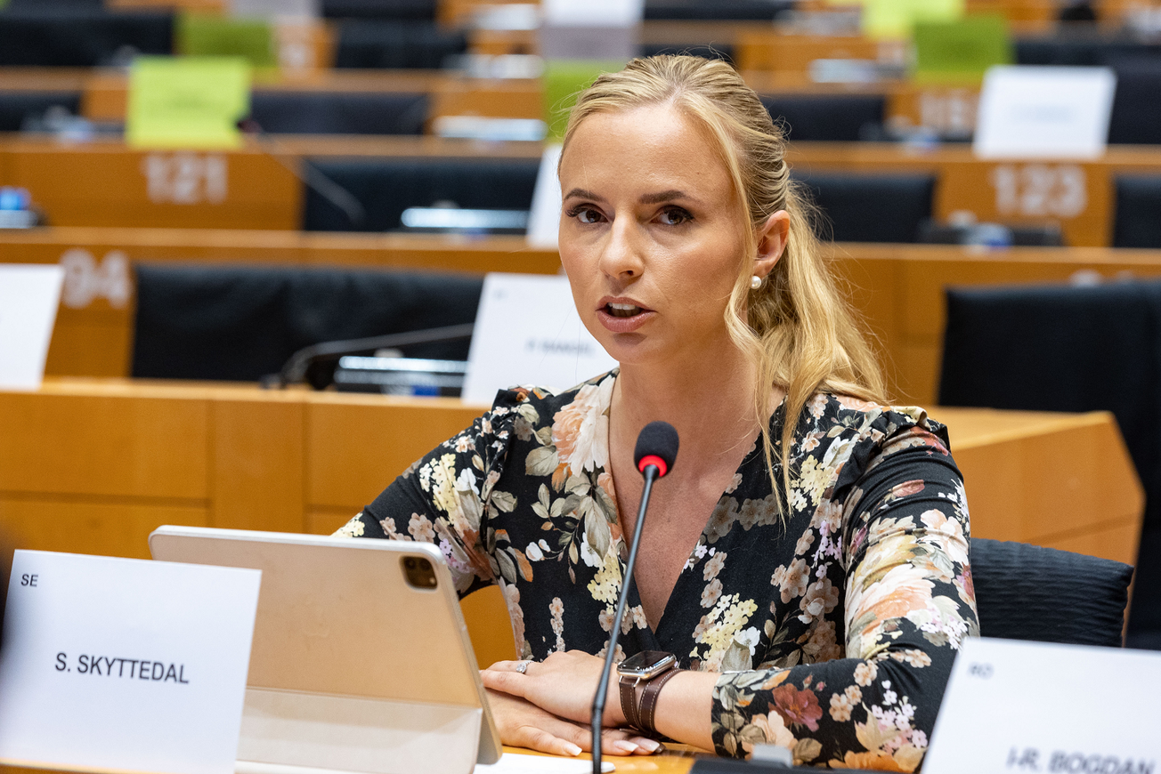 Uppgift: Skyttedal försökte kandidera för SD