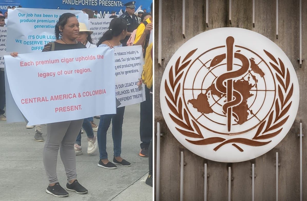 Stort missnöje vid globala hälsotoppmötet – WHO hotar svenska snusare