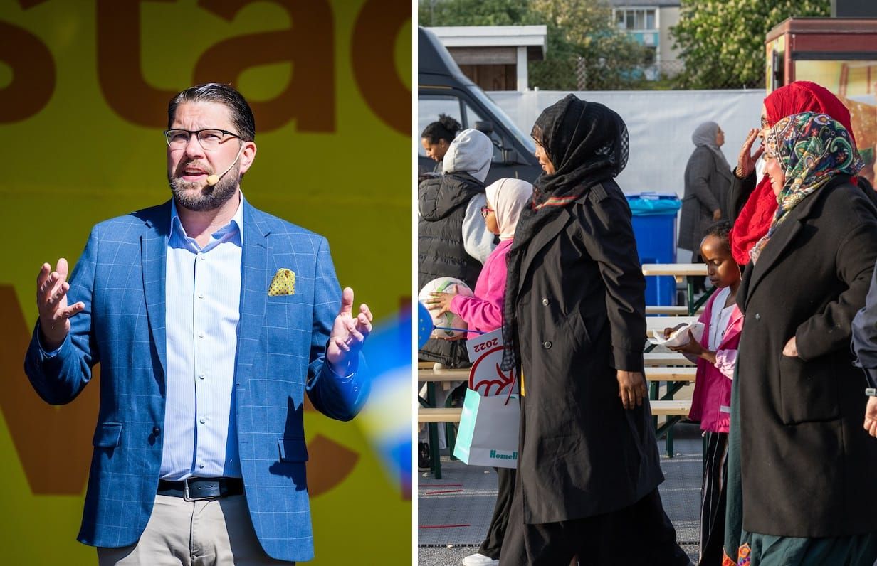 SD vill stoppa folkutbytet – Föreslår “utvisningspakt”