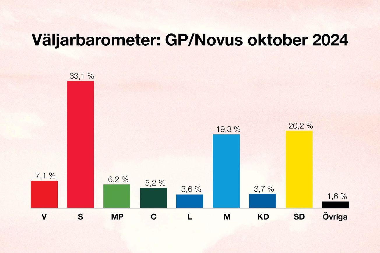 SD står starka i opinionen – Trots mediedrevet