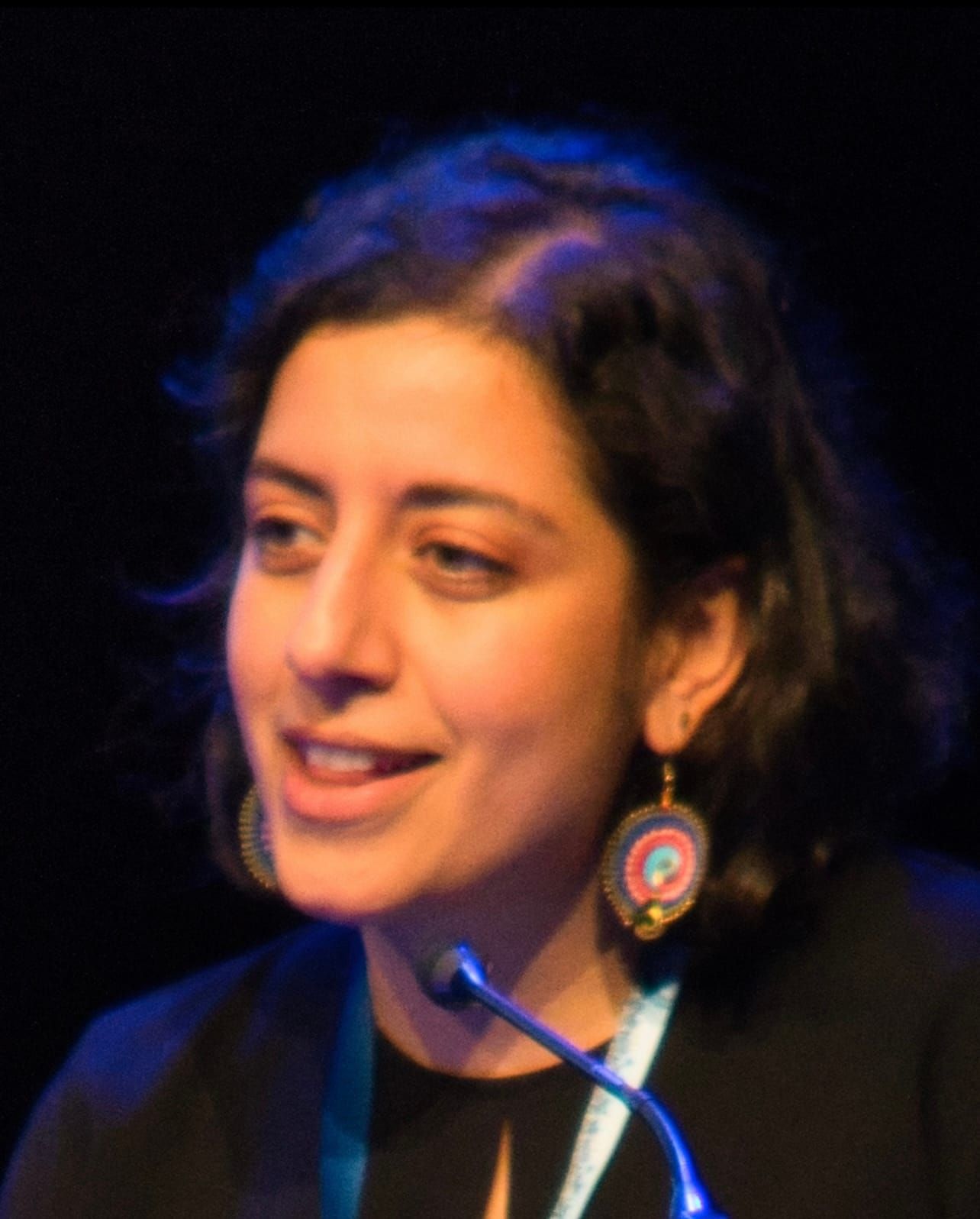 Liberalerna omprövar sin hållning till SD