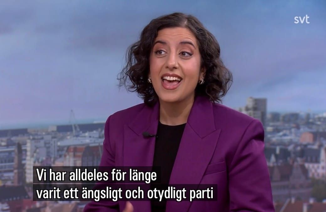 Det går bra för SD - men Mohamsson-effekten uteblir
