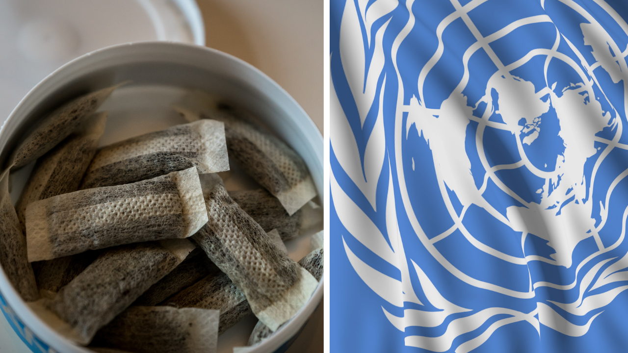 Danmark driver på för globalt snusförbud – på hemliga toppmötet i Genève