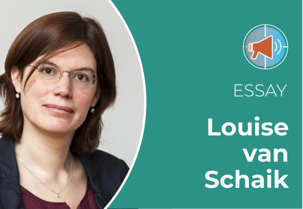 Energietransitie als veiligheidsstrategie