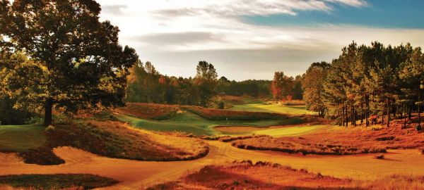 Golf's Wildest Ride: Tobacco Road Golf Club