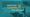 Cannes Lions 2026: What Did the Experts Learn This Year?