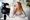 Brands Turn To Influencers For Content Creation Instead of Production Agencies