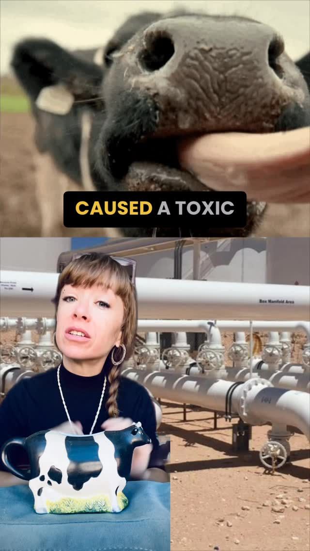 Leak of the Week: Cow causes a toxic waste spill