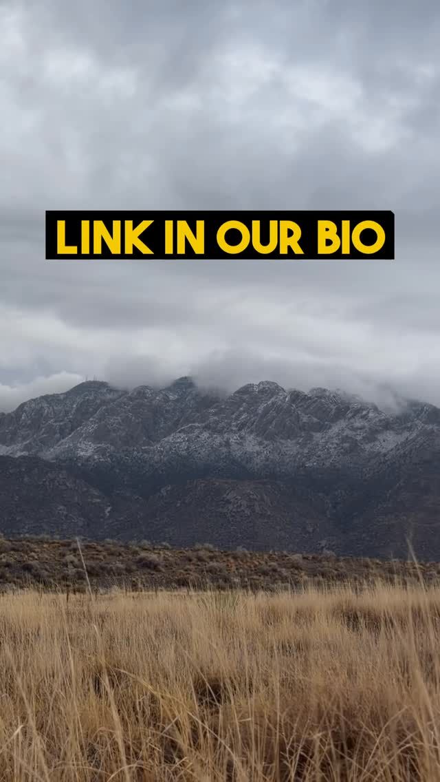 The Commission should not gamble with people’s ability to keep the heat on.” Mariel Nanasi, Attorney @newenergyeconomy