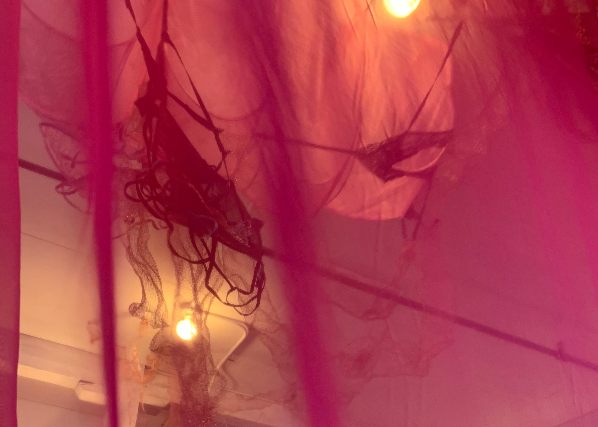 A soft-focus installation detail, showing pink netting, wire, and lingerie silhouetted against a warm light. No figure is present. The scene is layered, veiled, and ambiguous.