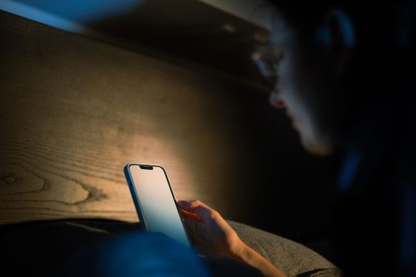 https://images.pexels.com/photos/26240403/pexels-photo-26240403.jpeg