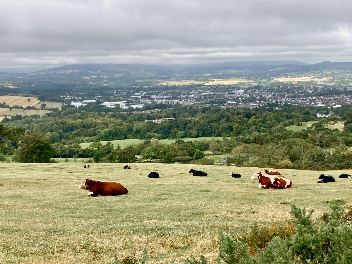 The Better Way To See Ireland