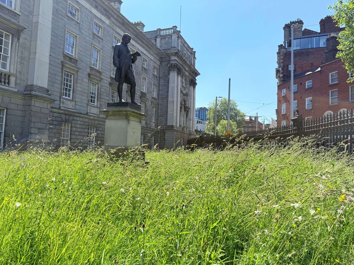 A Walk from Trinity College to Guinness Storehouse in Dublin