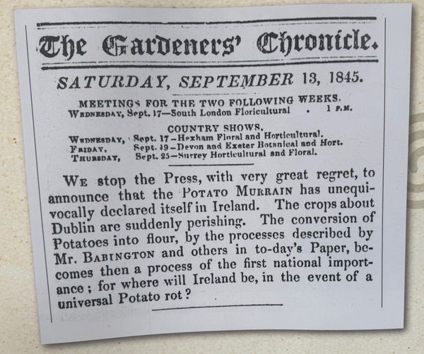 Review: The Irish Famine Exhibition Dublin