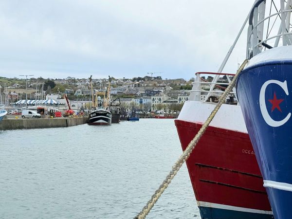 Ireland's Best Seafood Restaurants Picked By Our Michelin Chefs