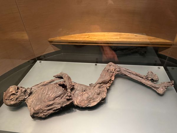 National Museum of Ireland. The Archaeology Collection