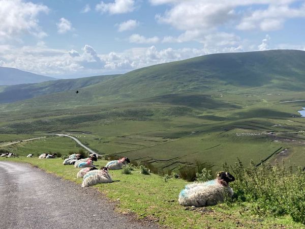 Travel Insurance For Ireland Is As Important as Your Passport