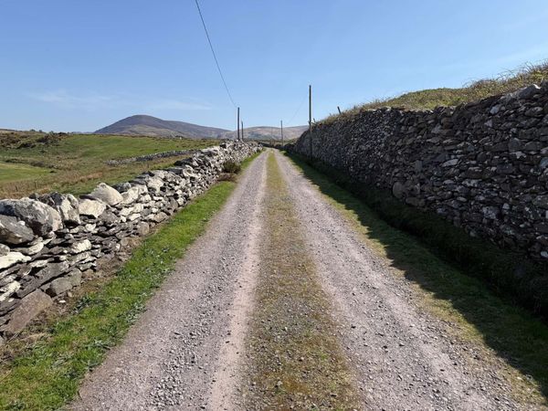 See Ireland by bus and skip the stress of planning & driving