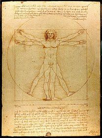 Leonardo's Vitruvian Man