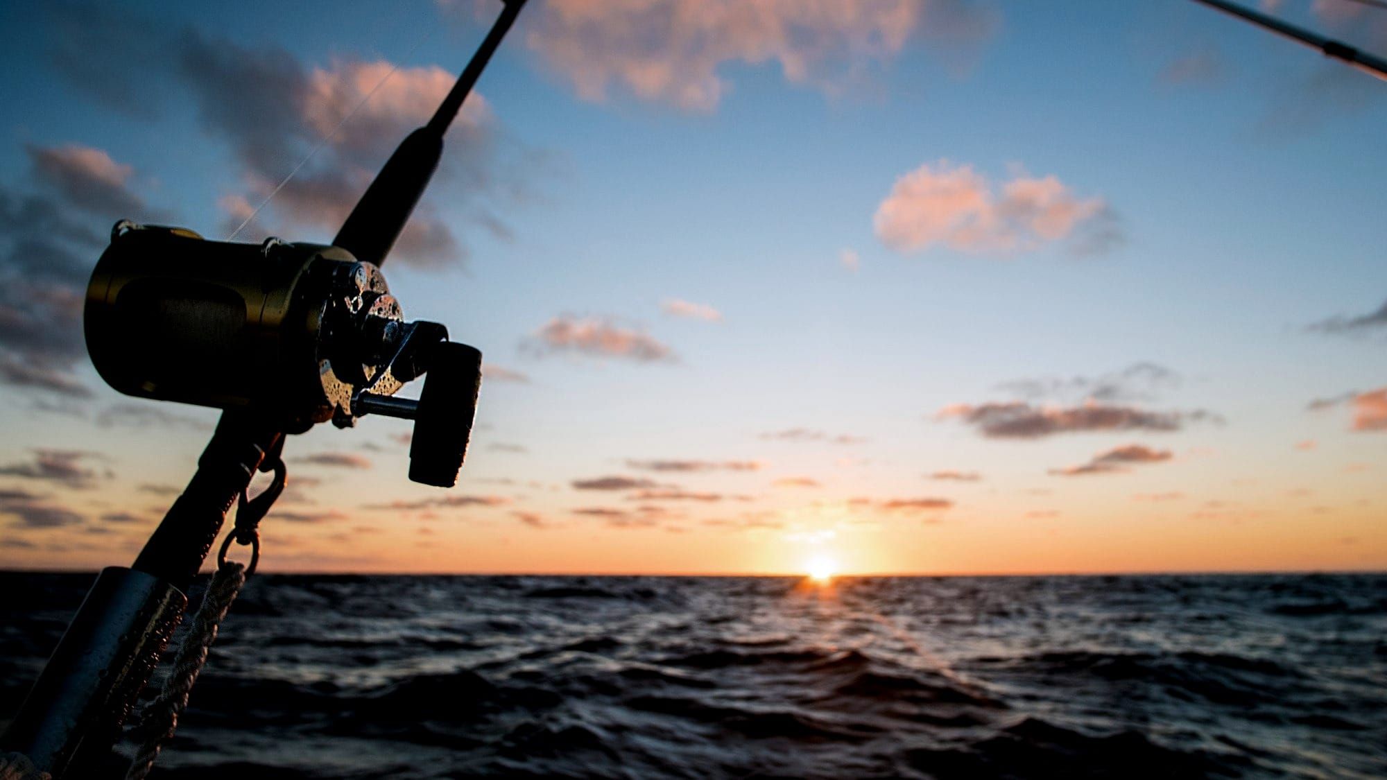 Gone Fishin'