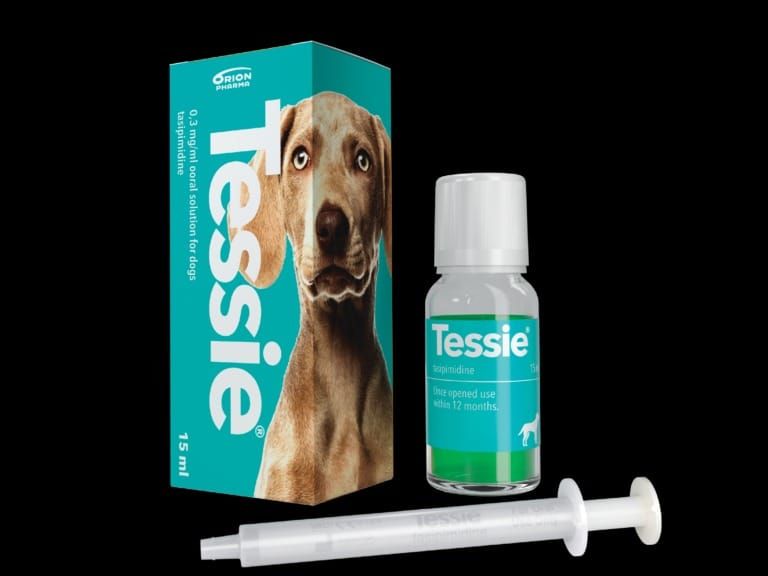 FDA approves new medication to treat dogs' separation anxiety