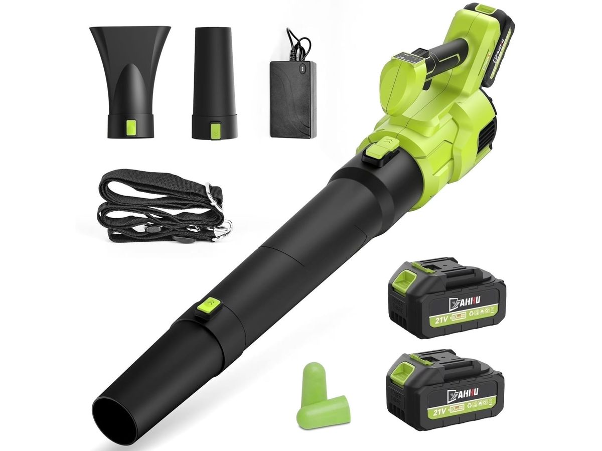 Walmart knocks its best-selling leaf blower from $109 to $57