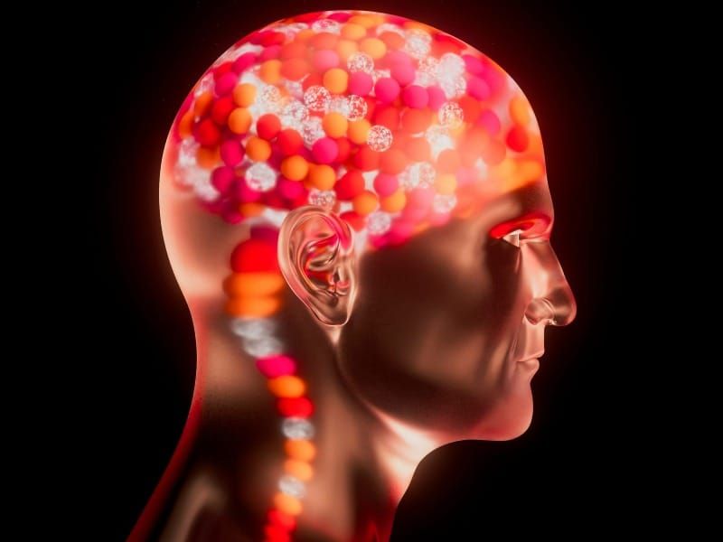 Scientists just discovered the brain chemical that breaks bad habits
