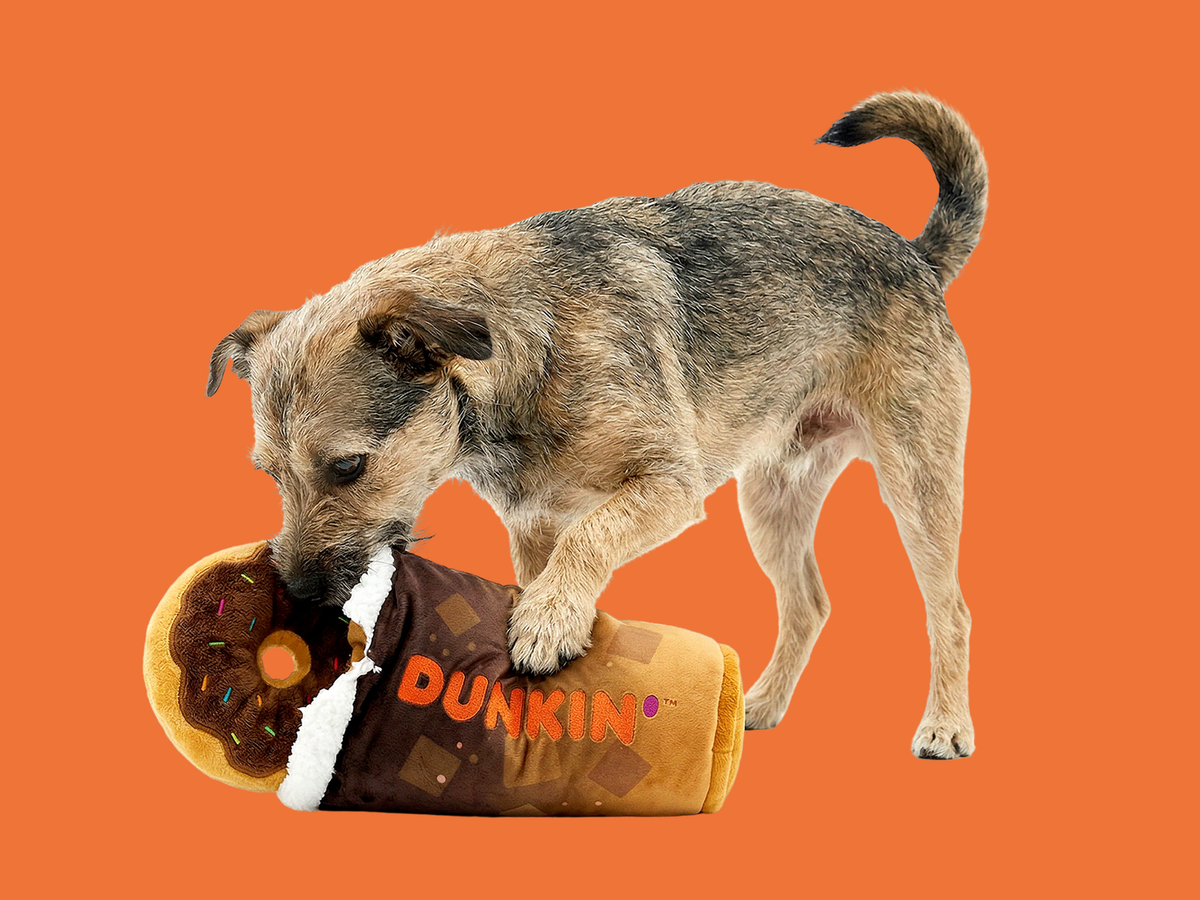 Dunkin' launches its first drive-thru lane made just for dogs