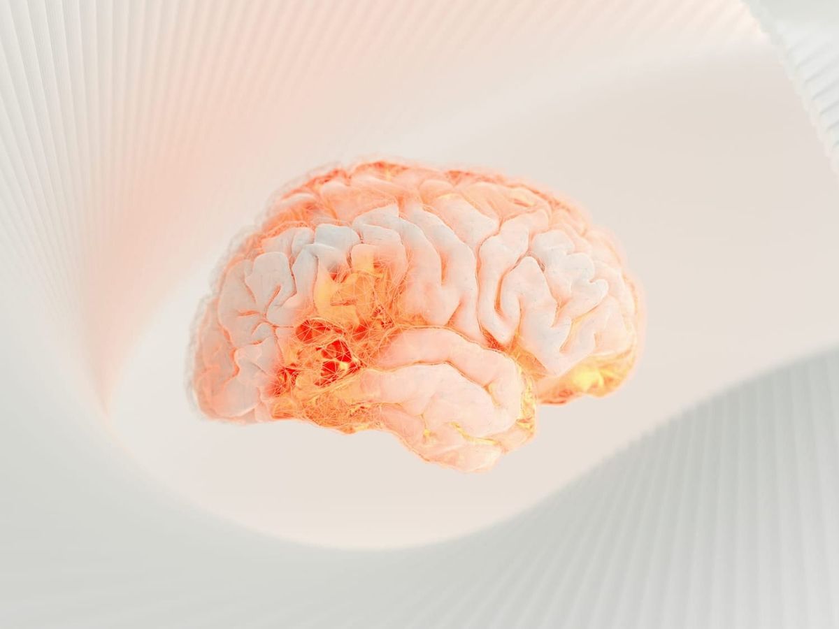 Scientists reveal your brain isn’t always ready to form memories
