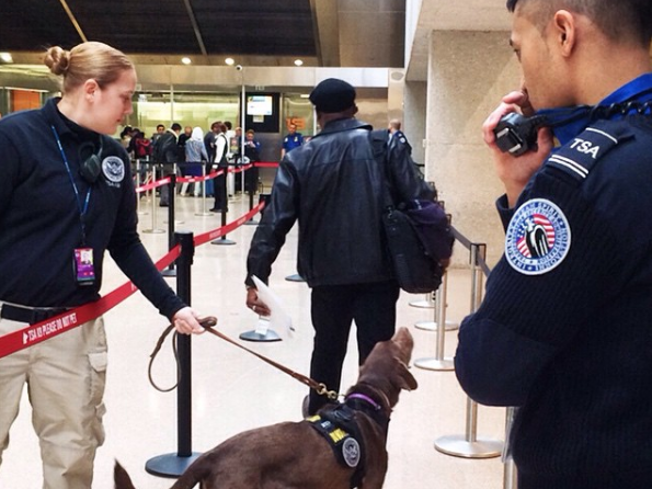 TSA bans these popular Halloween costumes at airport security