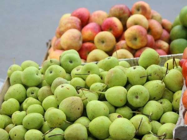 Fruits and veggies linked to lung cancer in young non-smokers