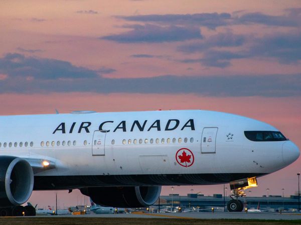 Airline sparks outrage after losing human ashes and offering $200 voucher