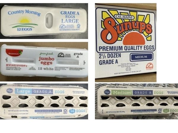 Over 1.5 million cartons of eggs recalled over salmonella risk