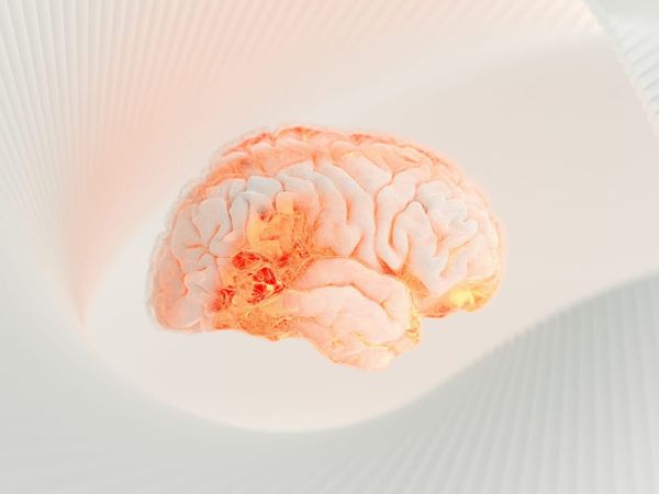 Scientists reveal your brain isn’t always ready to form memories