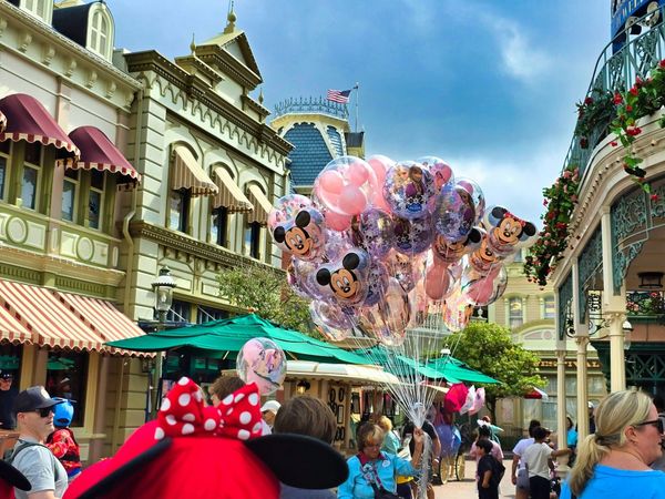 The fascinating reason why Disney World has no mosquitoes