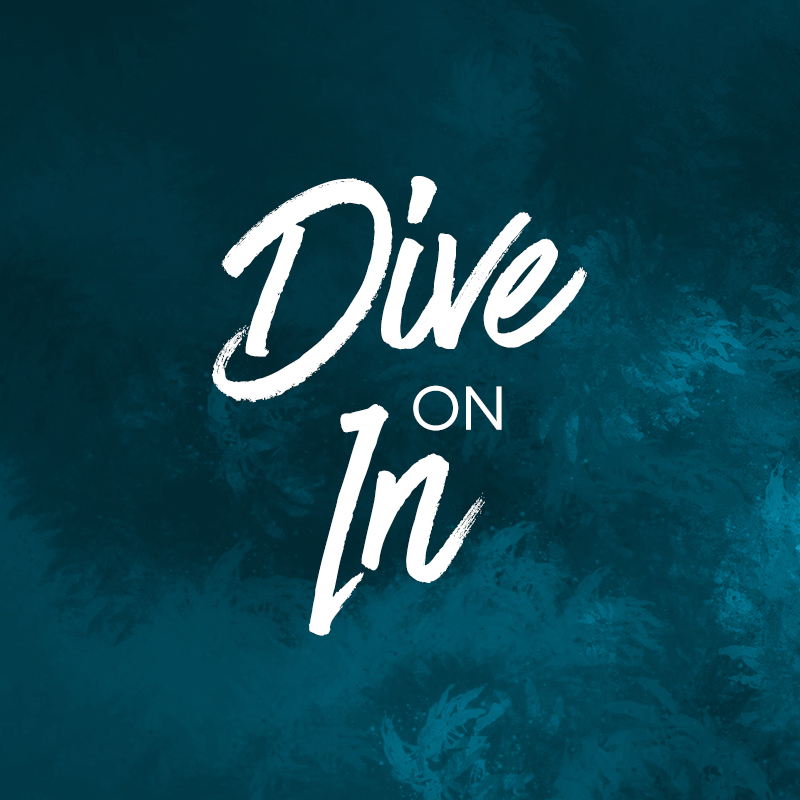 Package: Dive on In