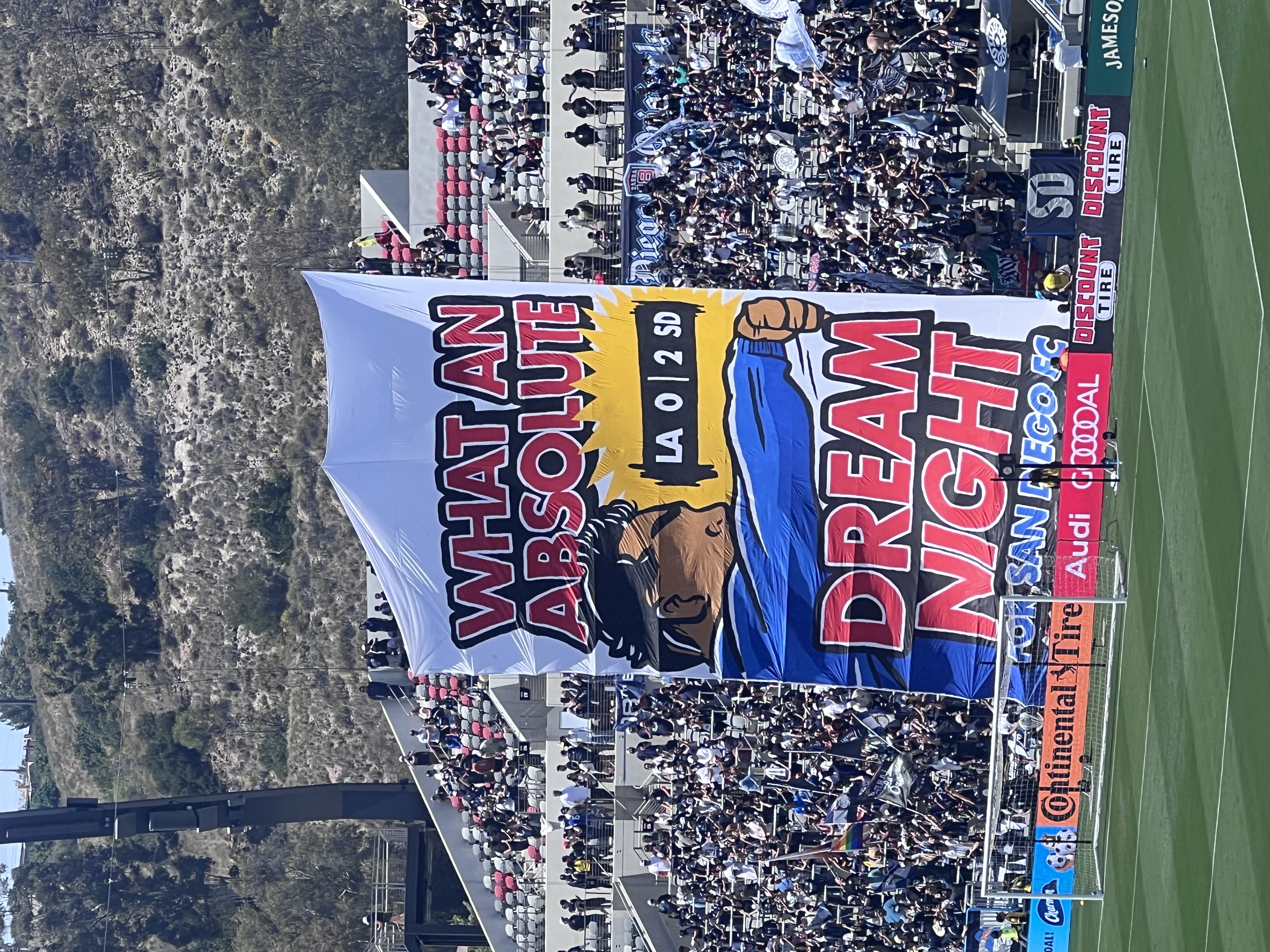 SDFC tifo