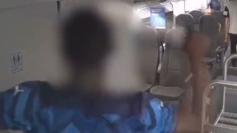 WATCH: Machete-Wielding Africans Attack Train Passengers in Italy