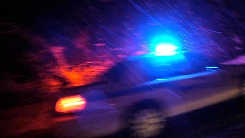 Suspected Illegal Alien Arrested for Sexually Assaulting Preteen Girls During Michigan Home Invasion