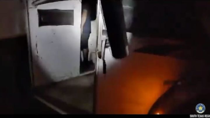 WATCH: Smuggler Caught With Dozens of Illegals Packed Inside Horse Trailer