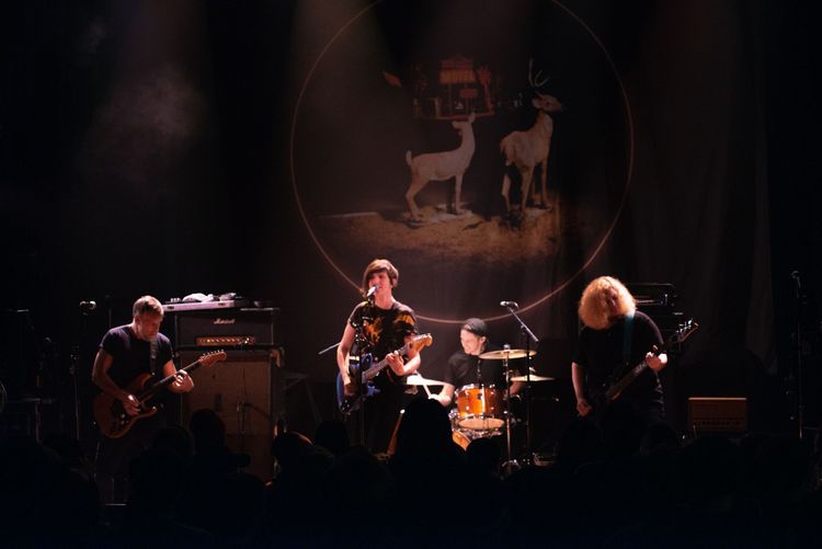 Going freelance, by which I meant going on tour 🚍