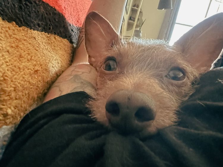 Your strongest, most active, or most successful day