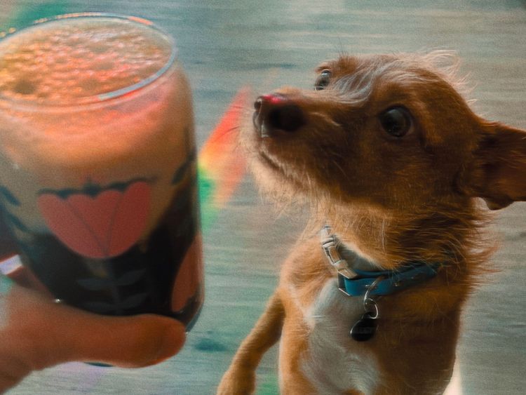 We can do hard things