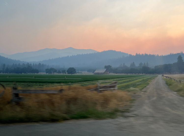 More of This, Please x September 2023