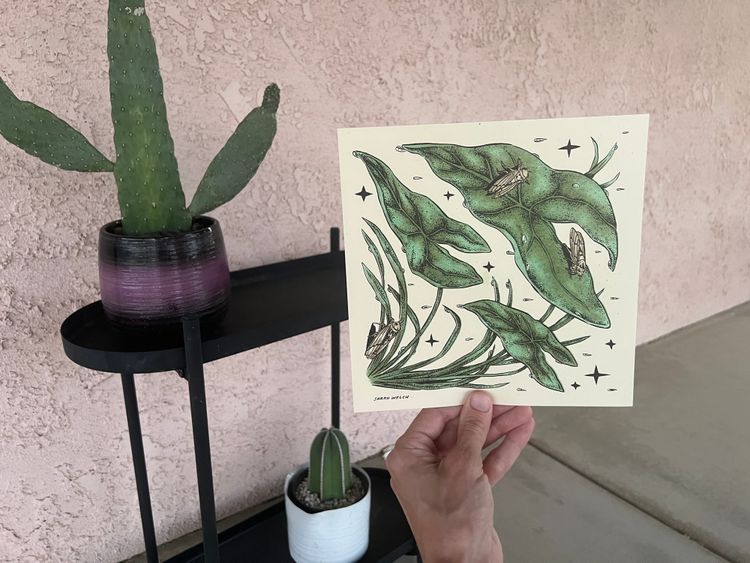 More of This, Please x July 2024