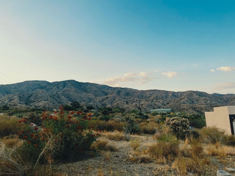 Standing in the way of control