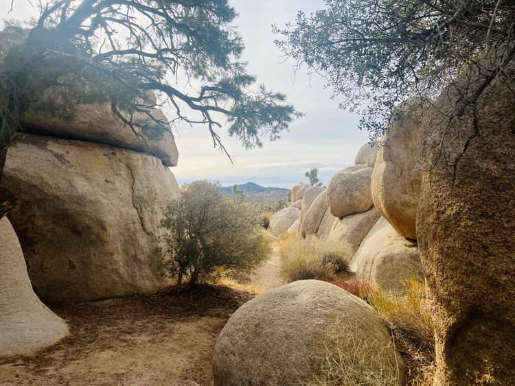 Thankful for survival tbh